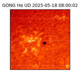 gong - 2025-05-18T08:00:02