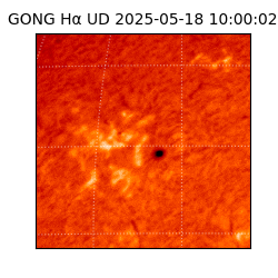 gong - 2025-05-18T10:00:02