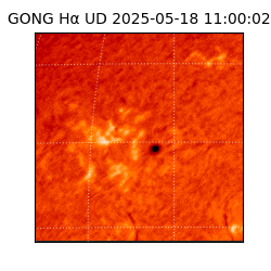 gong - 2025-05-18T11:00:02