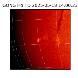 gong - 2025-05-18T14:00:23