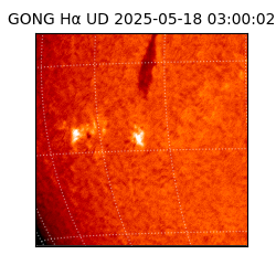gong - 2025-05-18T03:00:02
