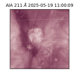 saia - 2025-05-19T11:00:09.626000