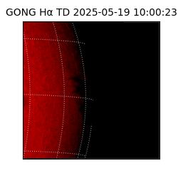gong - 2025-05-19T10:00:23