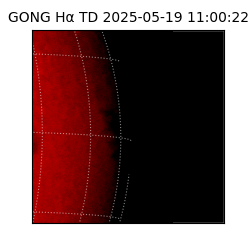 gong - 2025-05-19T11:00:22