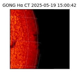 gong - 2025-05-19T15:00:42