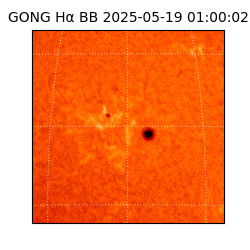 gong - 2025-05-19T01:00:02