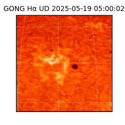 gong - 2025-05-19T05:00:02