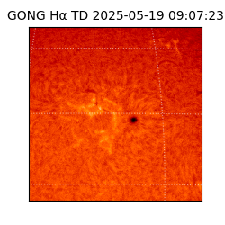 gong - 2025-05-19T09:07:23