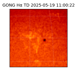 gong - 2025-05-19T11:00:22