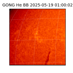 gong - 2025-05-19T01:00:02