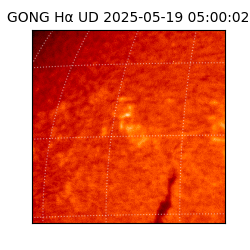 gong - 2025-05-19T05:00:02