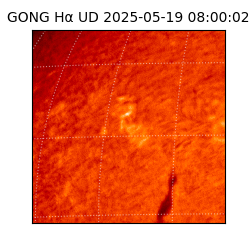 gong - 2025-05-19T08:00:02