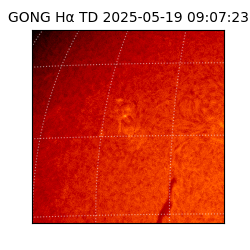 gong - 2025-05-19T09:07:23
