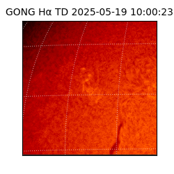 gong - 2025-05-19T10:00:23