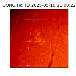 gong - 2025-05-19T11:00:22