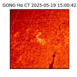 gong - 2025-05-19T15:00:42