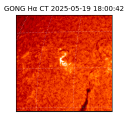 gong - 2025-05-19T18:00:42