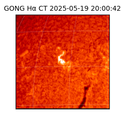 gong - 2025-05-19T20:00:42
