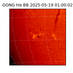 gong - 2025-05-19T01:00:02