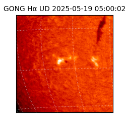 gong - 2025-05-19T05:00:02