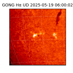 gong - 2025-05-19T06:00:02