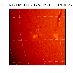 gong - 2025-05-19T11:00:22