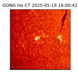 gong - 2025-05-19T16:00:42