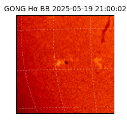 gong - 2025-05-19T21:00:02