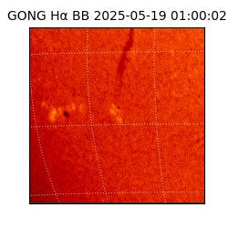 gong - 2025-05-19T01:00:02