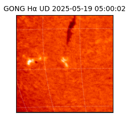 gong - 2025-05-19T05:00:02