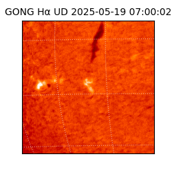 gong - 2025-05-19T07:00:02