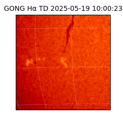 gong - 2025-05-19T10:00:23