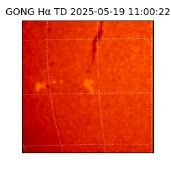 gong - 2025-05-19T11:00:22
