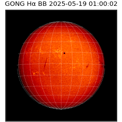 gong - 2025-05-19T01:00:02