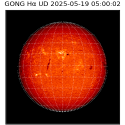 gong - 2025-05-19T05:00:02