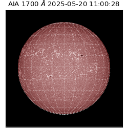 saia - 2025-05-20T11:00:28.717000