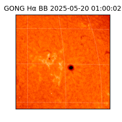 gong - 2025-05-20T01:00:02