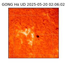 gong - 2025-05-20T02:06:02