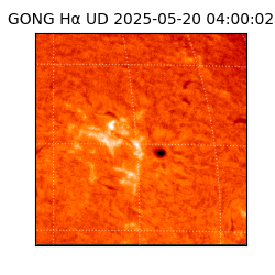 gong - 2025-05-20T04:00:02