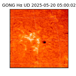 gong - 2025-05-20T05:00:02
