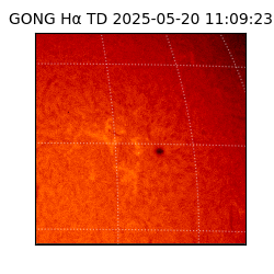 gong - 2025-05-20T11:09:23