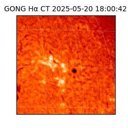 gong - 2025-05-20T18:00:42
