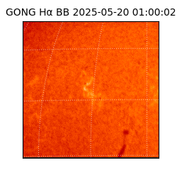 gong - 2025-05-20T01:00:02