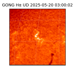 gong - 2025-05-20T03:00:02