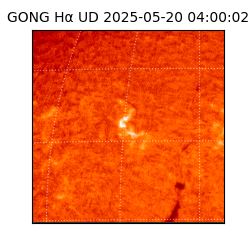 gong - 2025-05-20T04:00:02