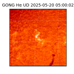 gong - 2025-05-20T05:00:02