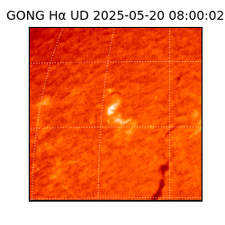 gong - 2025-05-20T08:00:02