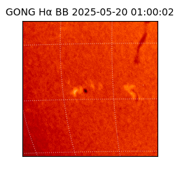 gong - 2025-05-20T01:00:02