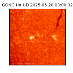 gong - 2025-05-20T03:00:02