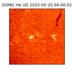 gong - 2025-05-20T04:00:02